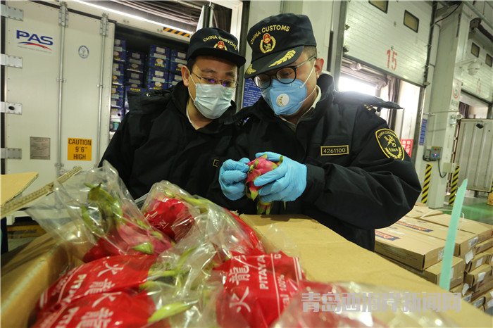 黃島海關(guān)“即驗即放”保障進(jìn)口新鮮水果供應(yīng) (2).jpg
