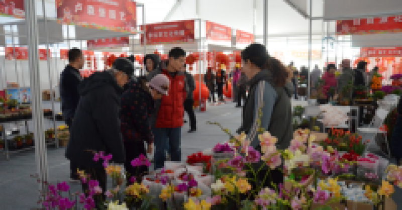 太火爆！金沙灘啤酒城春節(jié)國際商品展銷會延期三天